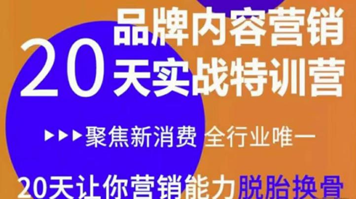 （1750期）《内容营销实操特训营》20天让你营销能力脱胎换骨（价值3999） 电商运营 第1张