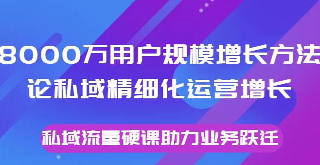 （1784期）8000万用户规模增长方法论私域精细化运营增长，私域流量硬课助力业务跃迁 私域变现 第1张