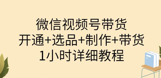 （1812期）陈奶爸·微信视频号带货：开通+选品+制作+带货（1小时详细教程） 短视频运营 第1张