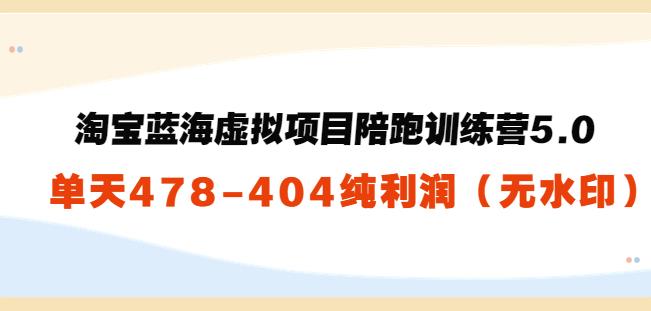 （1823期）黄岛主：淘宝蓝海虚拟项目陪跑训练营5.0：单天478纯利润 电商运营 第1张