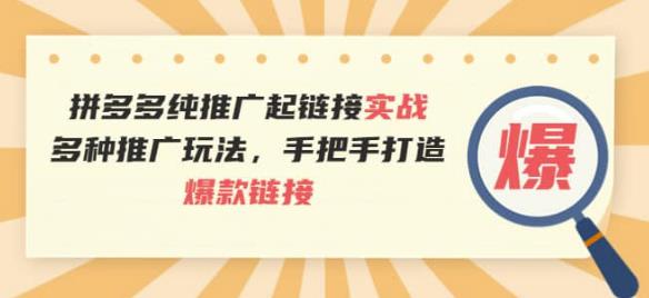 （1929期）拼多多纯推广起链接实战：多种推广玩法，手把手打造爆款链接 电商运营 第1张