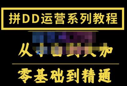（1936期）2022全套拼多多核心实操课程，从0-1轻松起链接实战，低投入高产出运作店铺 电商运营 第1张