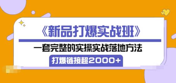（1987期）《新品打爆实战班》一套完整的实操实战落地方法，打爆链接超2000+（38节课) 电商运营 第1张