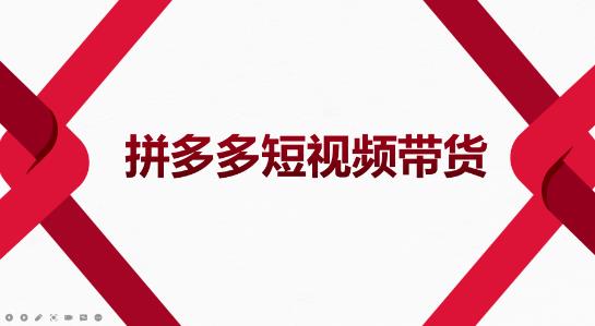 （2024期）2022风口红利期-拼多多短视频带货，适合新手小白的入门短视频教程 电商运营 第1张