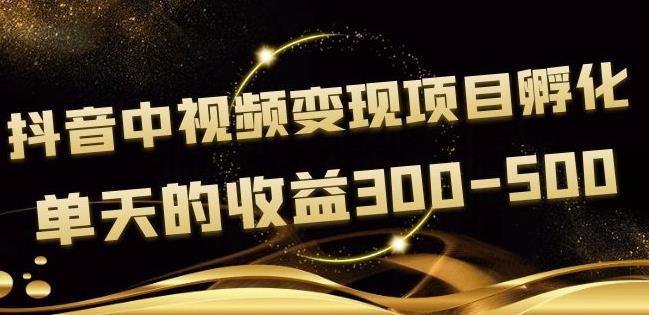 （2064期）黄岛主·抖音中视频变现项目孵化，单天的收益300-500操作简单粗暴 短视频运营 第1张