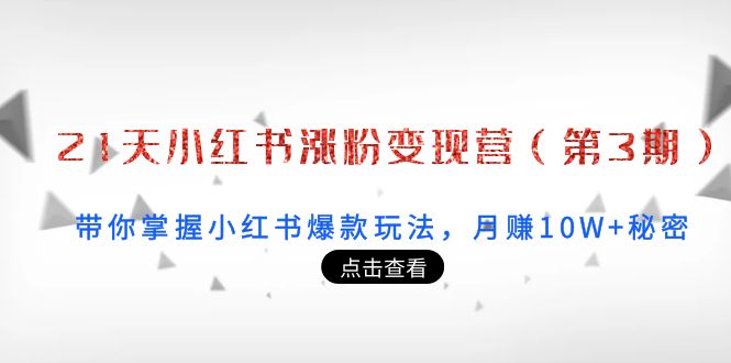 （2072期）21天小红书涨粉变现营（第3期）：带你掌握小红书爆款玩法，月赚10W+秘密 新媒体 第1张