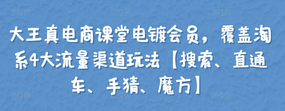 （2014期）大王真电商课堂电镀会员，覆盖淘系4大流量渠道玩法【搜索、直通车、手猜、魔方】 电商运营 第1张