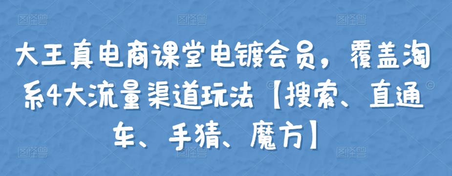 （2014期）大王真电商课堂电镀会员，覆盖淘系4大流量渠道玩法【搜索、直通车、手猜、魔方】 电商运营 第1张