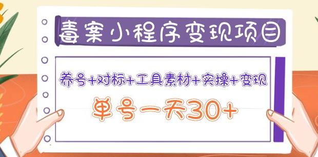 （2146期）森罗万项·毒案小程序变现项目：养号+对标+工具素材+实操+变现，单号一天30+ 综合教程 第1张