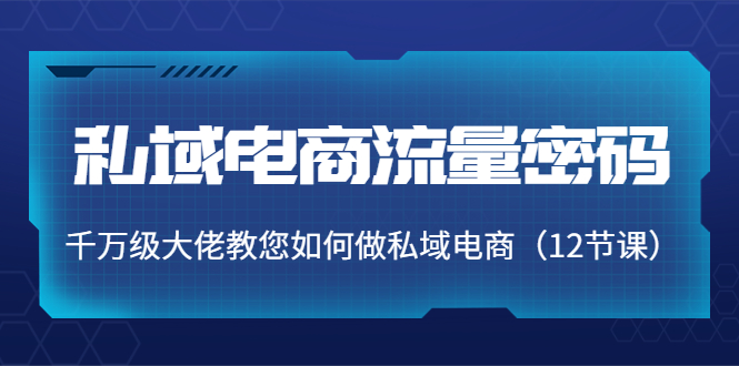 （2243期）大圣电商哪吒·私域电商流量密码课，教电商企业如何做私域运营 私域变现 第1张