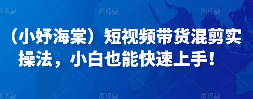 （2262期）小妤海棠·短视频带货混剪实操法，小白也能快速上手！ 短视频运营 第1张