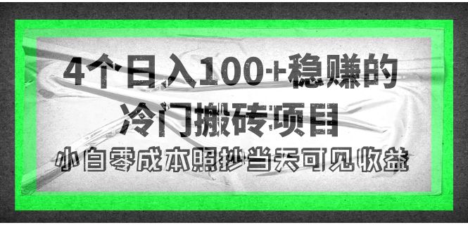 （2291期）4个稳赚的冷门搬砖项目，每个项目日入100+小白零成本照抄当天可见收益 综合教程 第1张