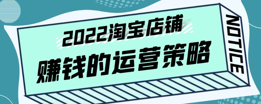 （2301期）震宇老师·2022年淘宝店铺赚钱的运营策略，一套能够盈利的赚钱打法 电商运营 第1张