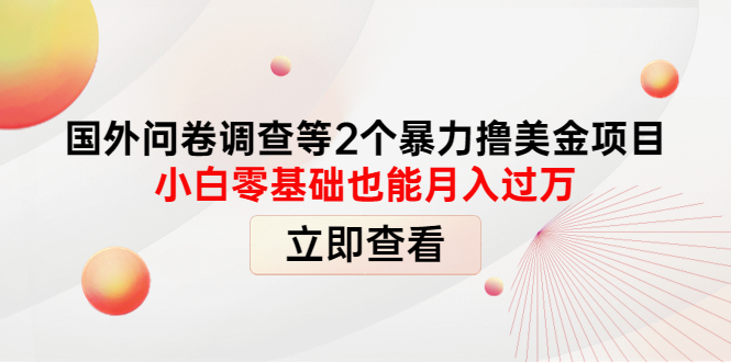 （2336期）国外问卷调查等2个暴力撸美金项目，小白零基础也能月入过万 综合教程 第1张