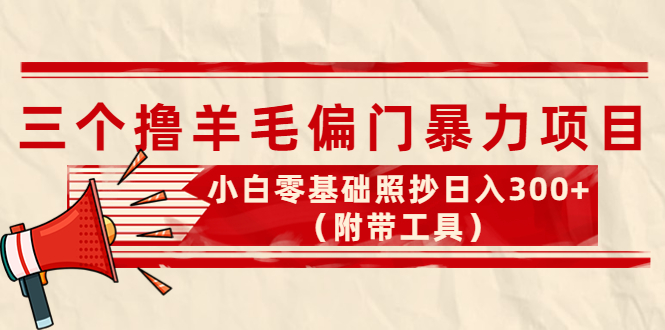 （2362期）外面卖998的三个撸羊毛偏门暴力项目，小白零基础照抄日入300+（附带工具） 综合教程 第1张