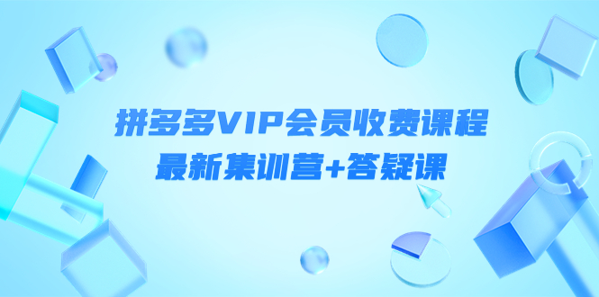 （2387期）轻语社群·拼多多VIP会员课程，最新集训营+答疑课-价值3299元 电商运营 第1张