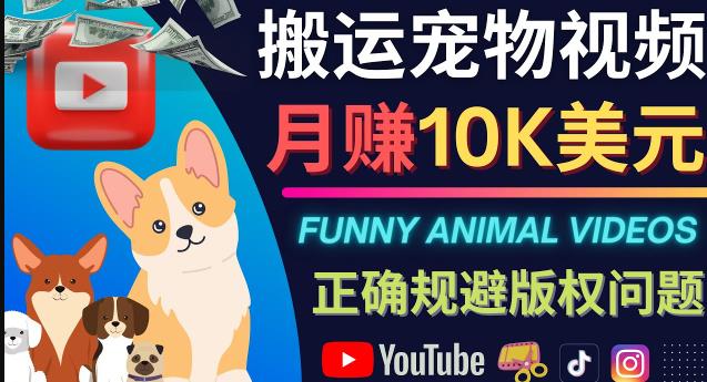 （2469期）搬运TIKTOK视频到YouTube，并进行二次创作，月赚1万美元以上 综合教程 第1张