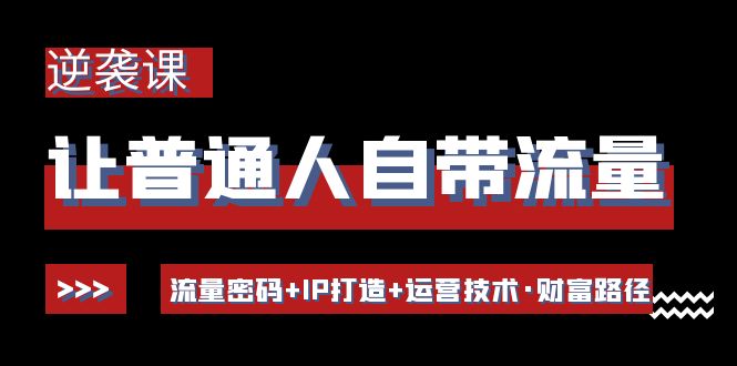 （2529期）让普通人自带流量的逆袭课：流量密码+IP打造+运营技术·财富路径 综合教程 第1张