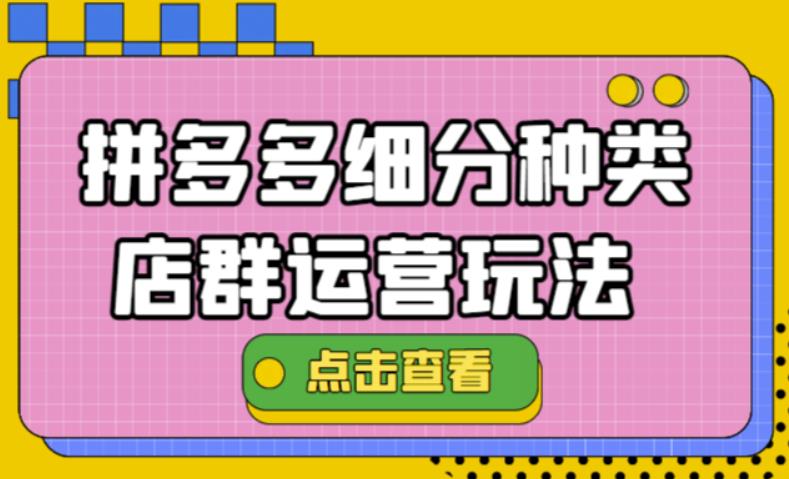 （2615期）拼多多细分种类店群运营玩法3.0，11月最新玩法，小白也可以操作 电商运营 第1张