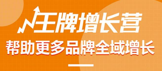 （2648期）王牌增长营·帮助更多电商品牌全域增长，月销百万实操干货，价值899元 电商运营 第1张