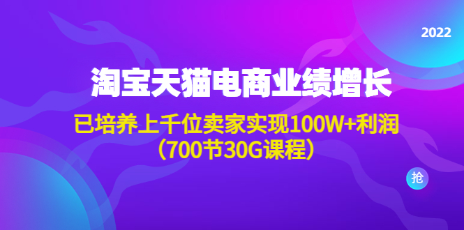 （2651期）淘系天猫电商业绩增长：已培养上千位卖家实现100W+利润（700节30G课程） 电商运营 第1张