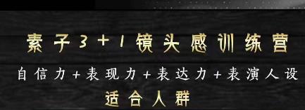 （2679期）素子·表现力训练营，提高自信力+表现力+表达力+表演人设，打造个人魅力ip 短视频运营 第1张