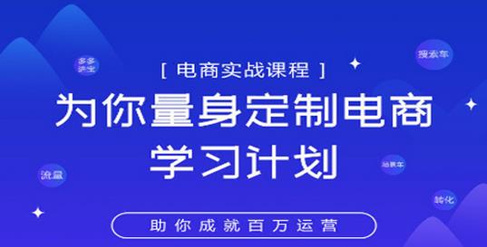 （2698期）淘宝运营实战宝典鑫老板电商精品小课，为你量身定制电商学习计划 电商运营 第1张