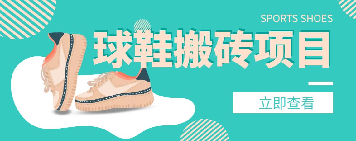 （2718期）【搬砖必备】外面收费998的球鞋搬砖项目，月入轻松5000+的项目案例解析 综合教程 第1张