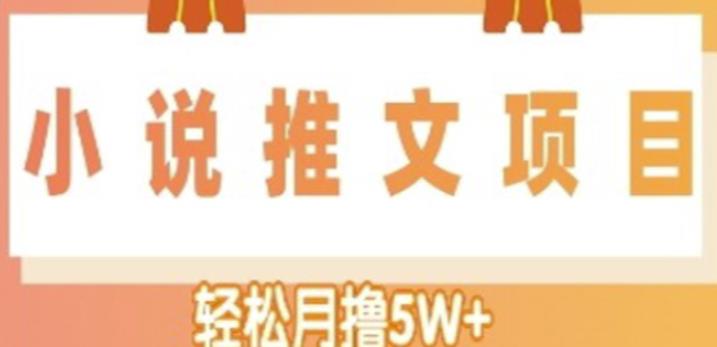 （2778期）小说推文副业赚钱项目，另类进阶玩法，轻松月撸5W+ 短视频运营 第1张