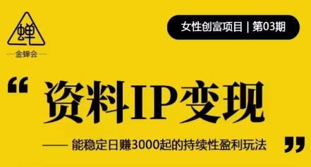 （2796期）资料IP变现，能稳定日赚3000起的持续性盈利玩法 短视频运营 第1张