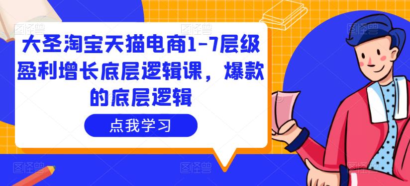 （2855期）大圣·淘宝天猫电商1-7层级盈利增长底层逻辑课，爆款的底层逻辑 电商运营 第1张