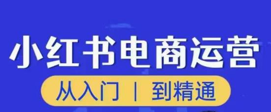 （2858期）顽石·小红书电商高阶运营课程，从入门到精通，玩法流程持续更新 短视频运营 第1张