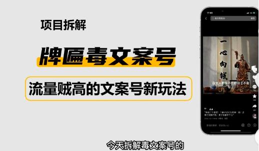 （2890期）2023抖音快手毒文案新玩法，牌匾文案号，起号快易变现 短视频运营 第1张