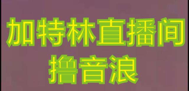 （2989期）抖音加特林直播间搭建技术，抖音0粉开播，暴力撸音浪，2023新口子，每天800+【素材+详细教程】 综合教程 第1张