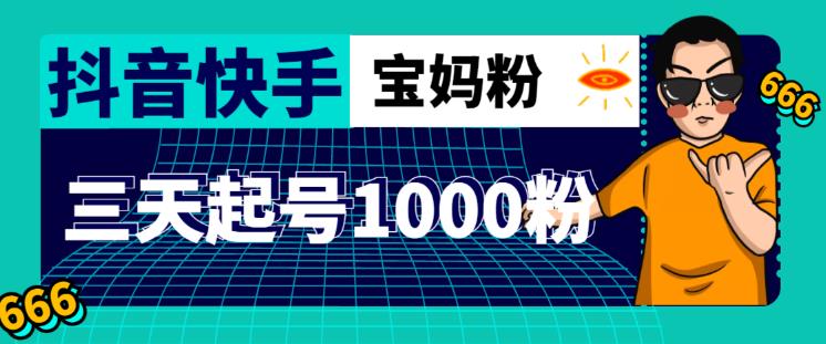 （3015期）抖音快手三天起号涨粉1000宝妈粉丝的核心方法【详细玩法教程】 短视频运营 第1张