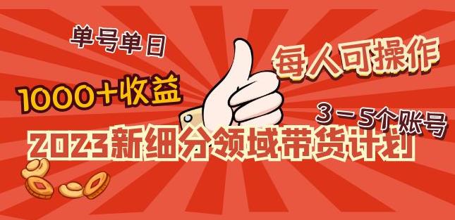 （3025期）2023新细分领域带货计划：单号单日1000+收益不难，每人可操作3-5个账号 短视频运营 第1张