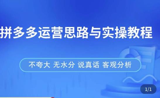 （3074期）拼多多店铺运营思路与实操教程，快速学会拼多多开店和运营，少踩坑，多盈利 电商运营 第1张