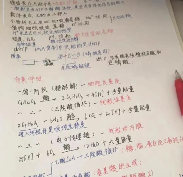 日搞300+,空手套白狼! 网赚项目 第4张-星赚网_免费分享_最新网赚创业项目_星创 日搞300+,空手套白狼!