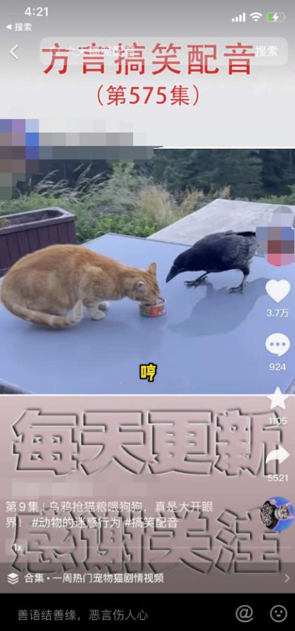 爆火的方言搬砖项目,闷声发大财2023生意经! 网赚项目 第2张-星赚网_免费分享_最新网赚创业项目_星创 爆火的方言搬砖项目,闷声发大财2023生意经!