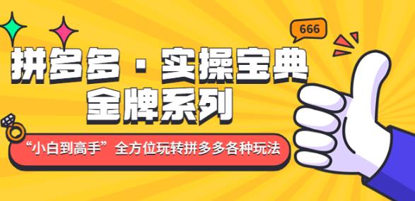 （3121期）拼多多实操宝典：金牌系列“小白到高手”带你全方位玩转拼多多各种玩法 电商运营 第1张