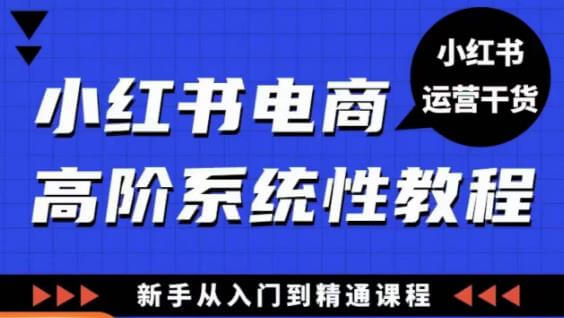 （3133期）小红书电商高阶系统教程，新手从入门到精通系统课 电商运营 第1张