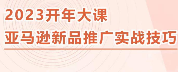 （3179期）2023亚马逊新品推广实战技巧，线下百万美金课程的精简版，简单粗暴可复制，实操性强的推广手段 电商运营 第1张