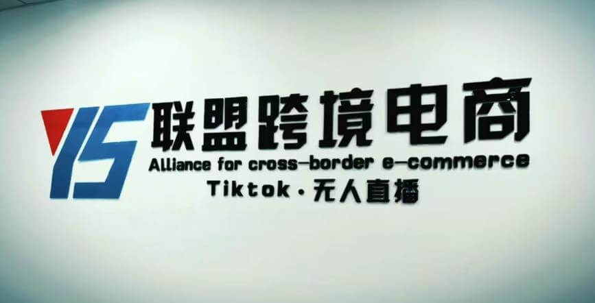 （3187期）YS联盟·Tiktok无人直播，不出镜不剪辑不拍摄不发货无售后的跨境短视频躺赚玩法 短视频运营 第1张