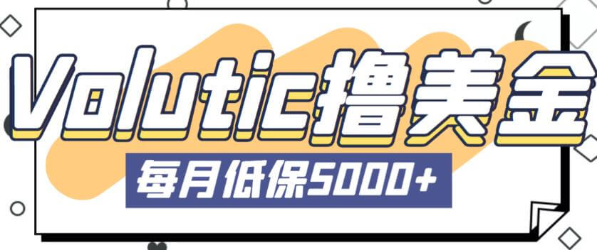 （3194期）最新国外Volutic平台看邮箱赚美金项目，每月最少稳定低保5000+【详细操作教程】 网赚项目 第1张