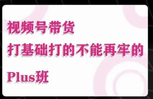 （3200期）大播汇·视频号带货Puls班，视频号底层逻辑，起号自然流鱼塘等玩法 短视频运营 第1张