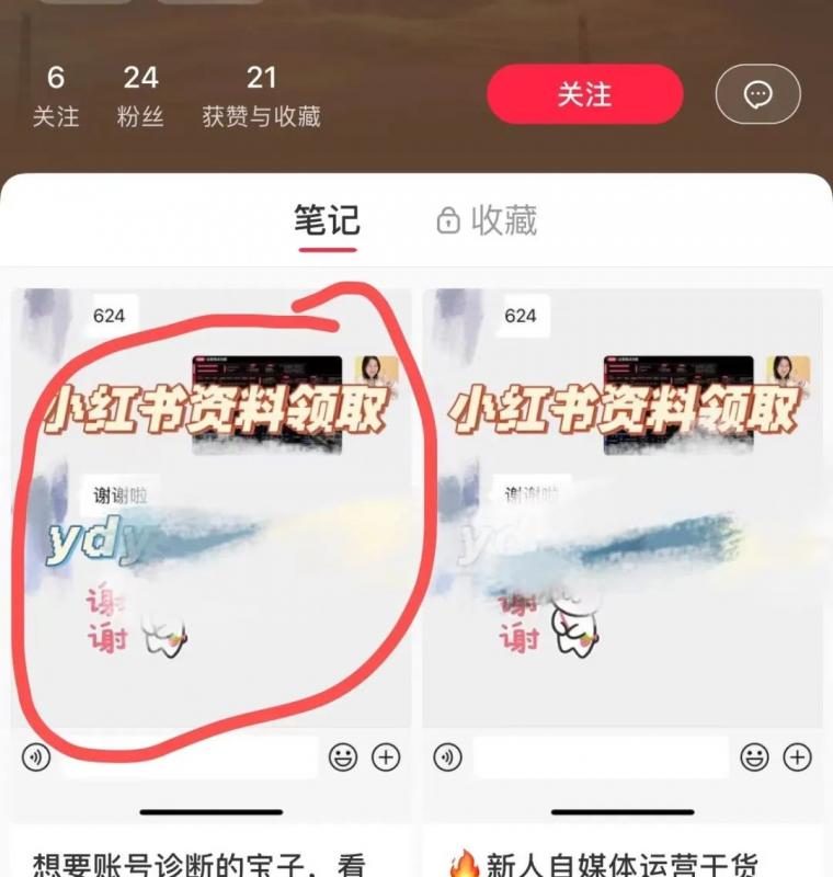 成功在小红书上进行虚拟资料项目引流的实操复盘,分享保姆级的赚钱技巧,月入2w+! 网赚项目 第11张-星赚网_免费分享_最新网赚创业项目_星创