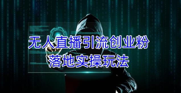 （3250期）外面收费3980的无人直播引流创业粉落地实操玩法，单日引100+精准创业粉 短视频运营 第1张