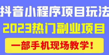 （3251期）抖音小程序9.0新技巧，2023热门副业项目，动动手指轻松变现 网赚项目 第1张