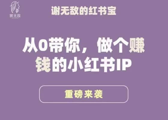 （3316期）谢无敌·小红书运营大宝典，从0带你做个赚钱的小红书IP 短视频运营 第1张