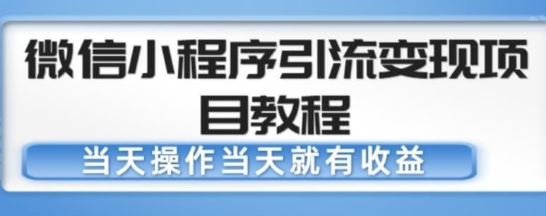 （3329期）微信小程序引流变现项目教程，当天操作当天就有收益，变现不再是难事 爆粉引流软件 第1张